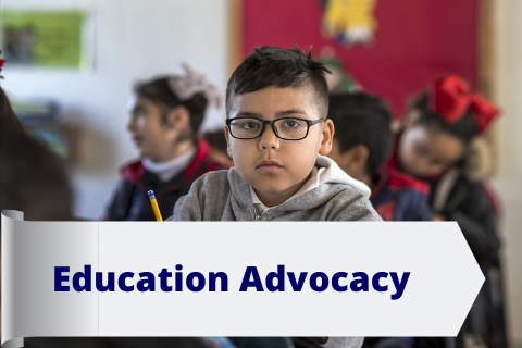 Education Advocacy