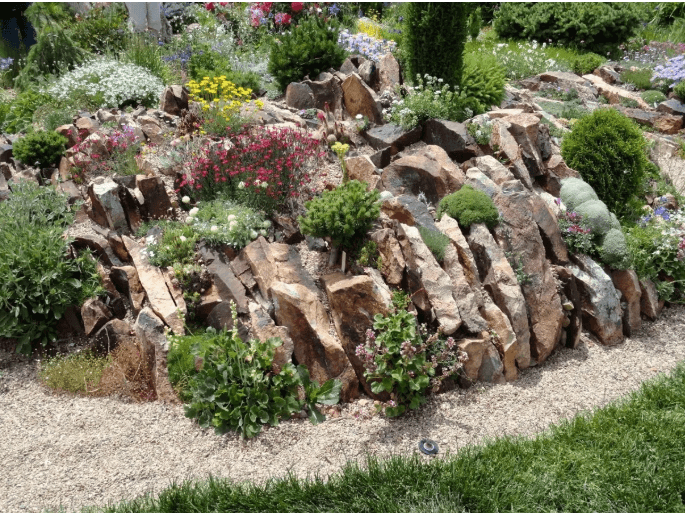 Crevice garden with blooms flowers