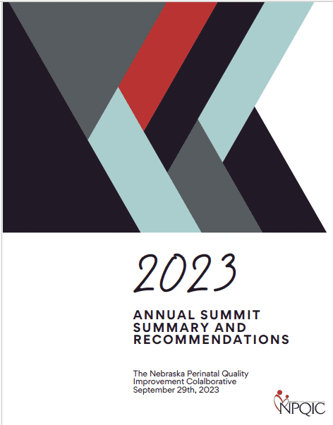 2023 Annual Summit Summary and Recommendations