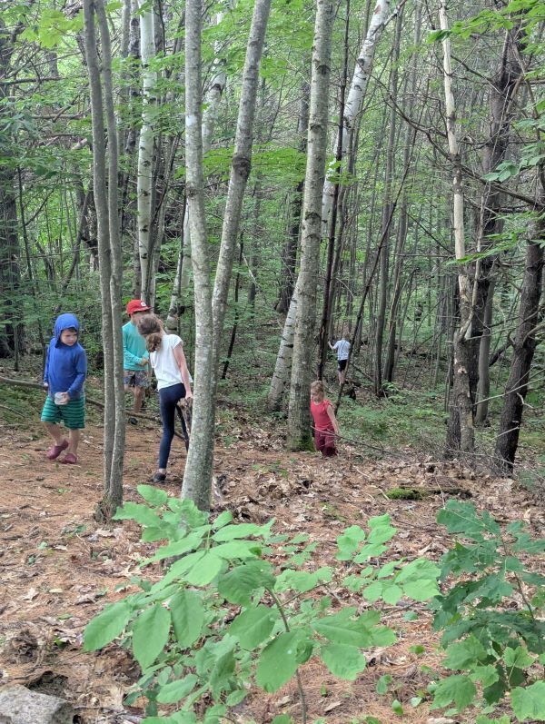 Tamworth Nature Nuts