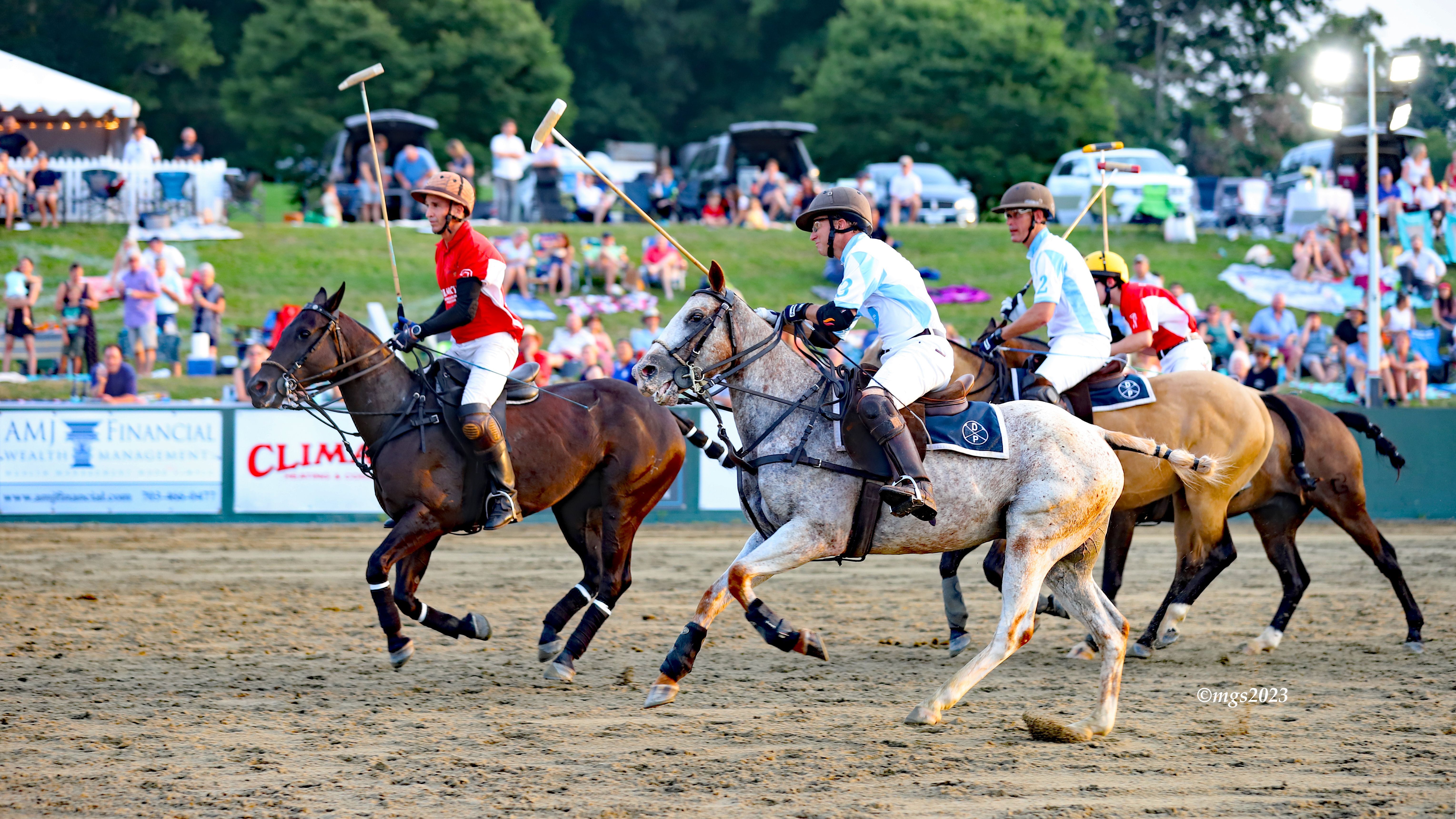 Polo in the Park 