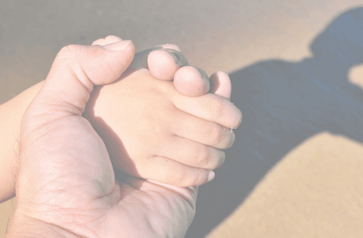 image of a adult hand holding young childs hand with their shadows in the background