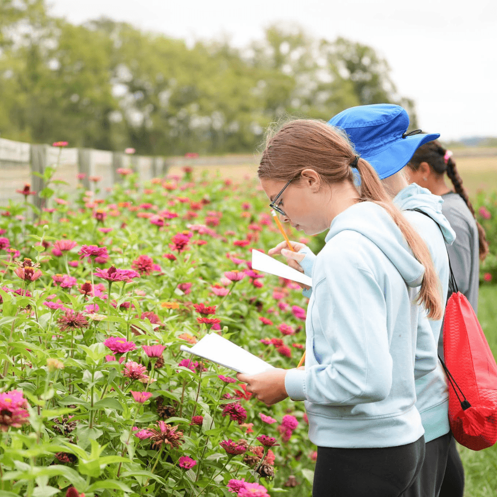 Beyond the Classroom: A Visit to Outdoor Education