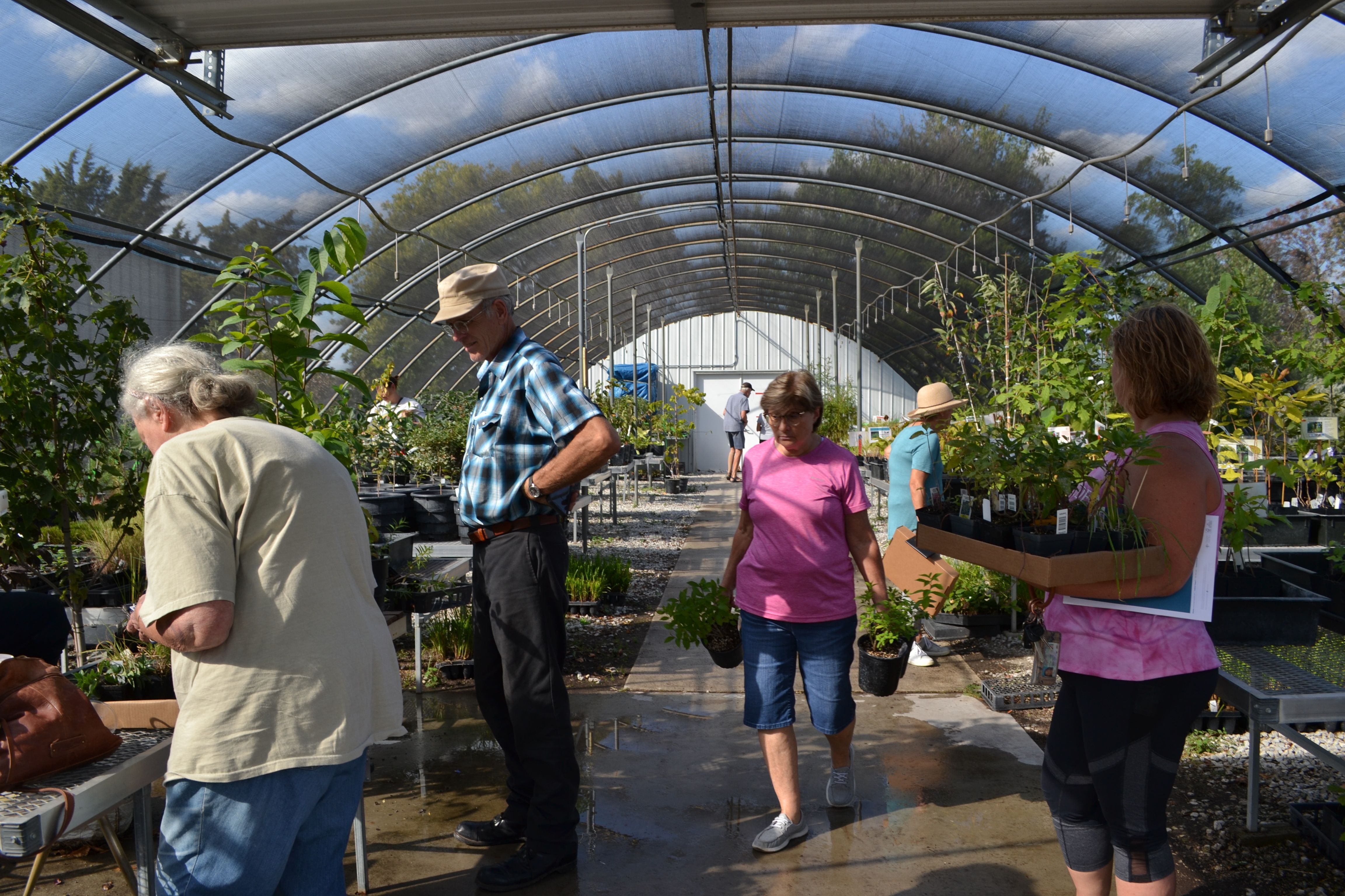Shop for a diverse selection of native and well-adapted perennials, grasses and herbs at the NSA Plant Sale. 