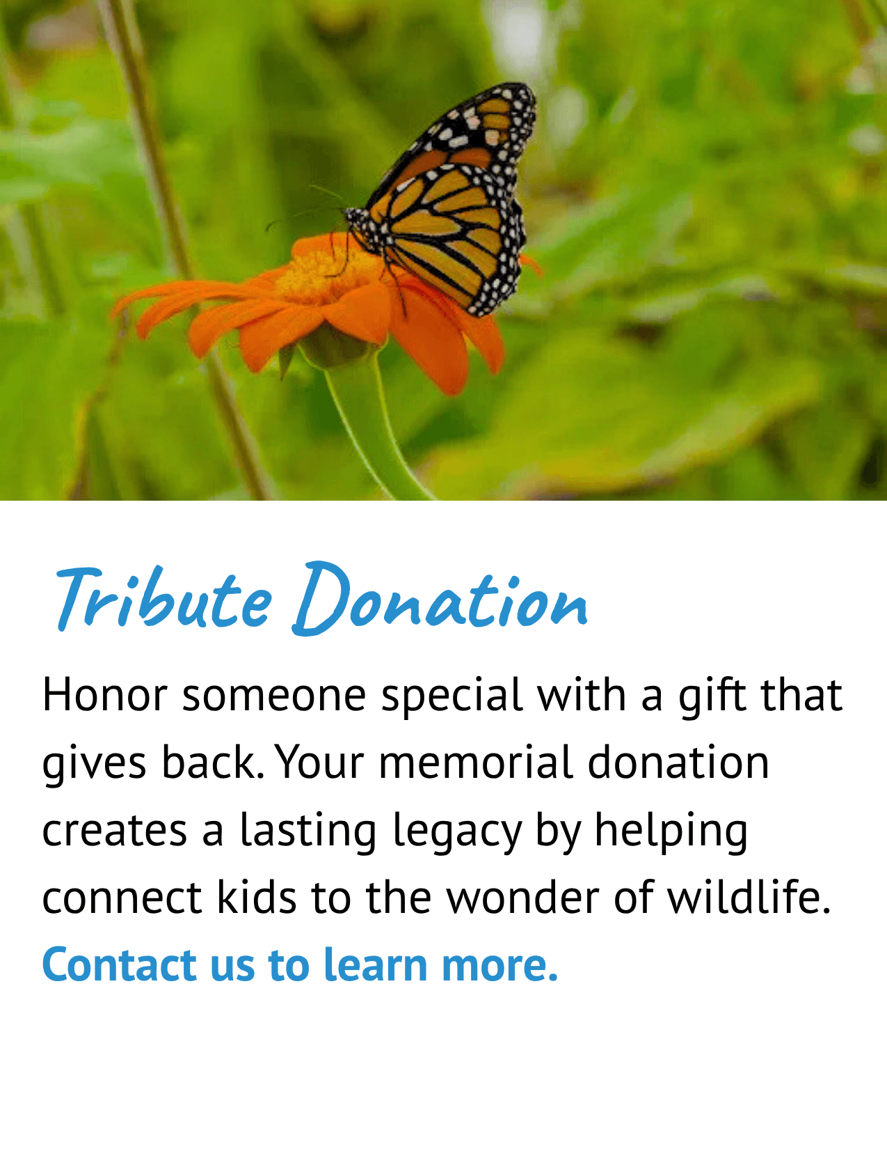 Memorial Fund
