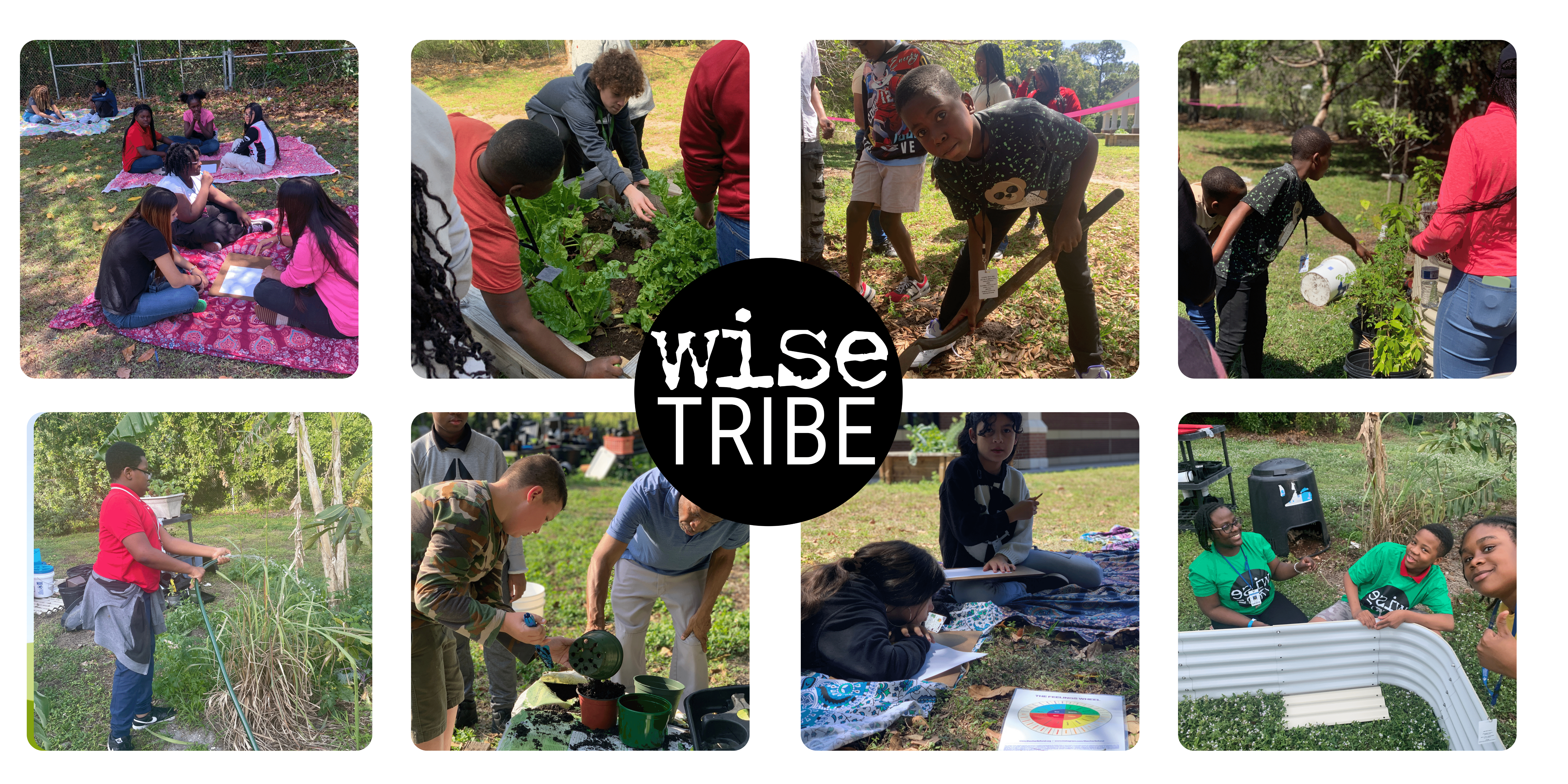 WiseTribe - United for a healthy and wise Well-Being future