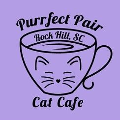 Purrfect Pair Cat Cafe