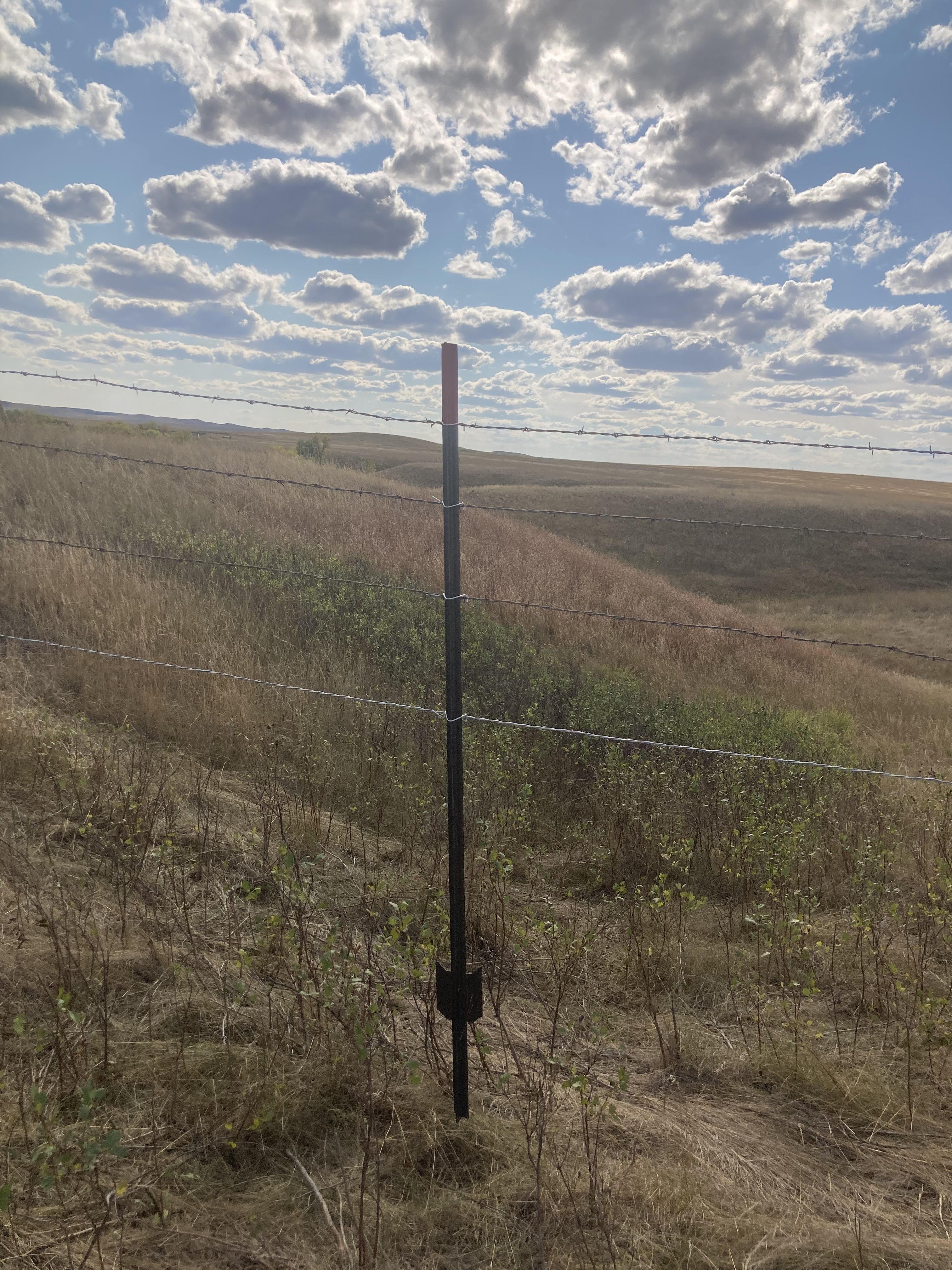 A wildlife friendly barb wire fence in the middle of a pasture.