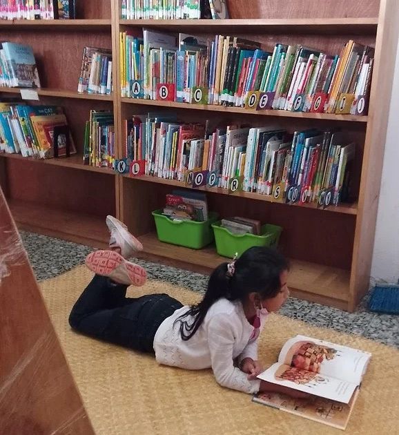 Young girl laying on the ground reading a book.