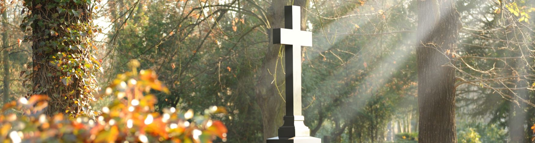 Tree and Memorial Cross in sunny woods