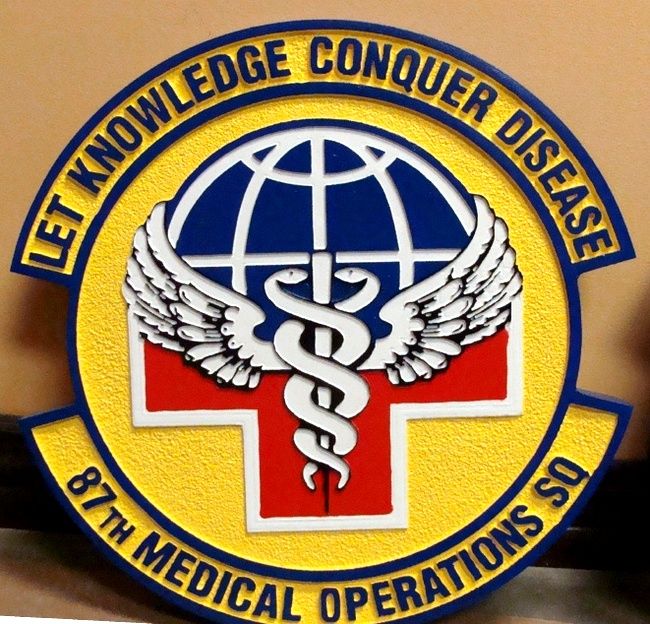 LP-8080 - Carved Shield Plaque of the Crest of the Air Force 87th Medical Operations  Squadron,"Let Knowledge Conquer Disease",  Artist Painted