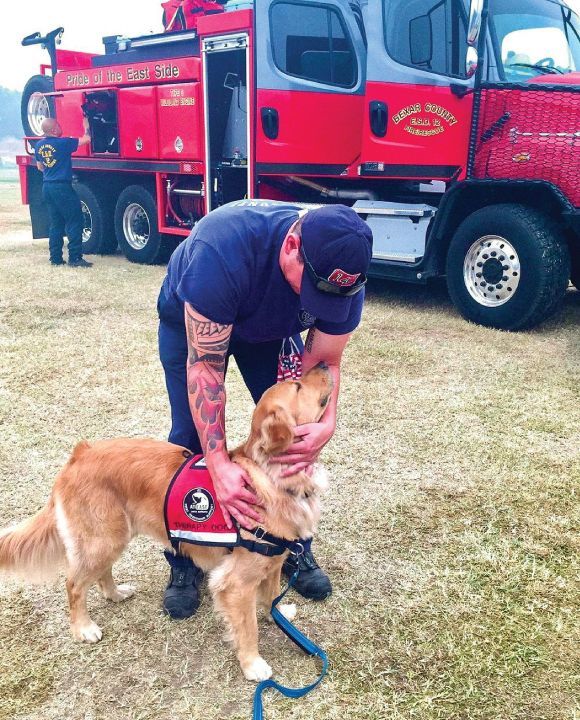 New Life K9s graduate, Donuts, provides relief to firefighters at the Creek Fire