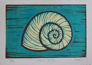Moon Snail