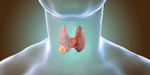 Endocrine Conditions - Hypothyroidism 