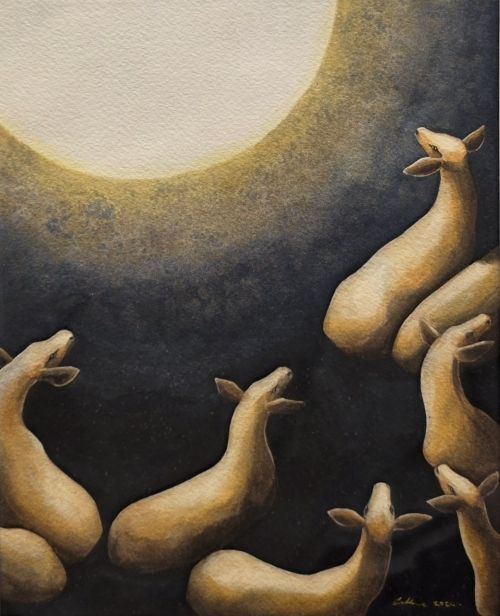 The Night is Imperial - Callie Bellon