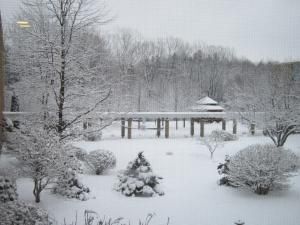 Daily Prayer December 11