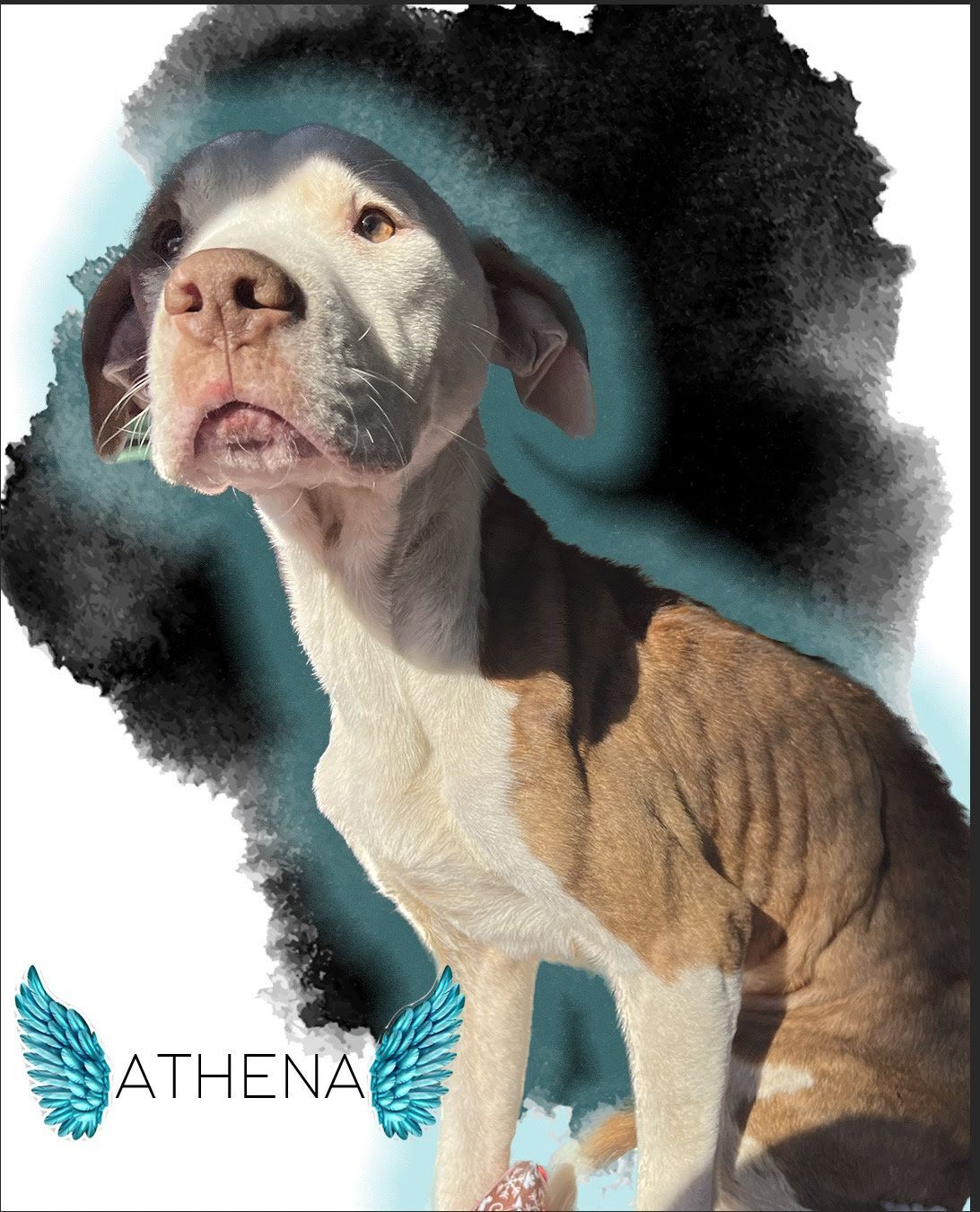 We'll Always Love You, Athena