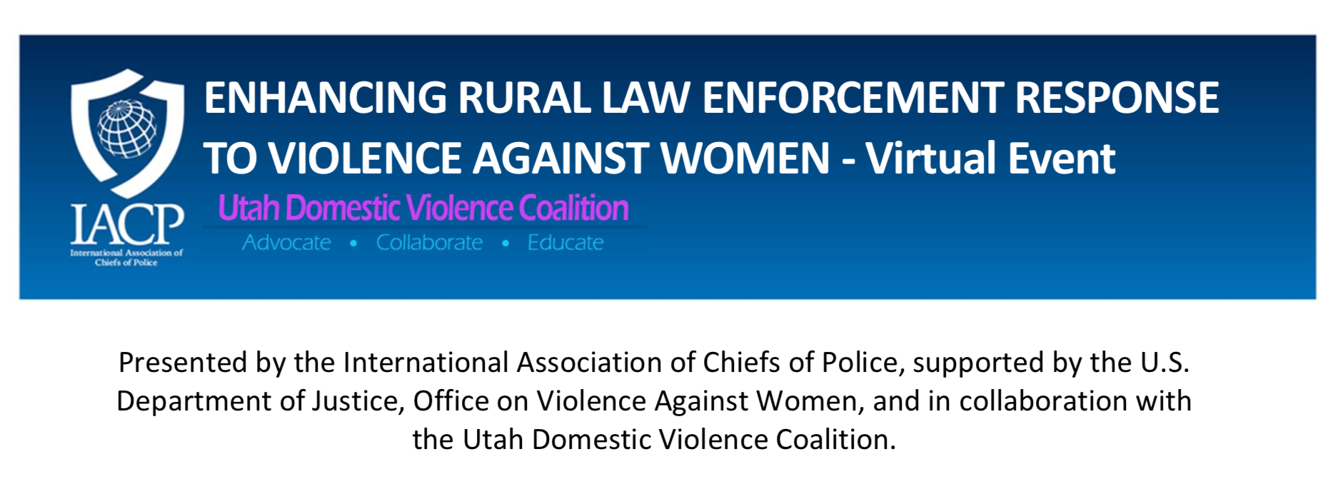 Virtual Training: Coordinated Community Response
