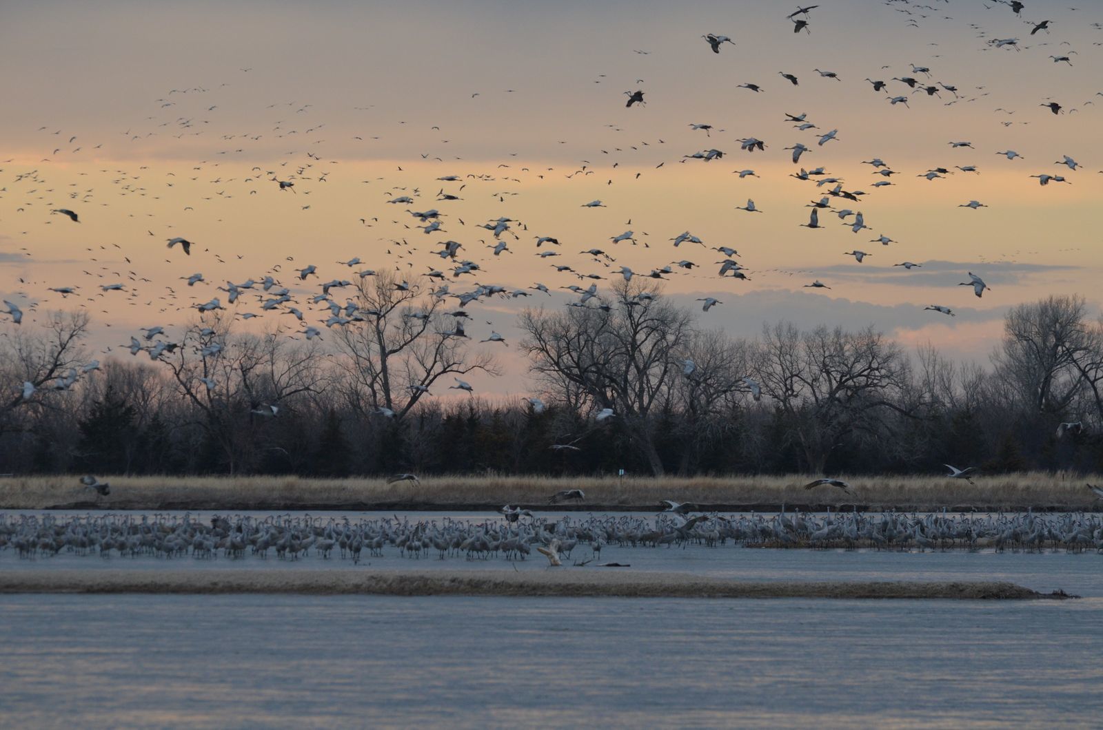 Reasons to Visit Visit Crane Trust