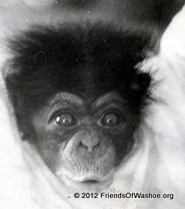 Moja as an infant