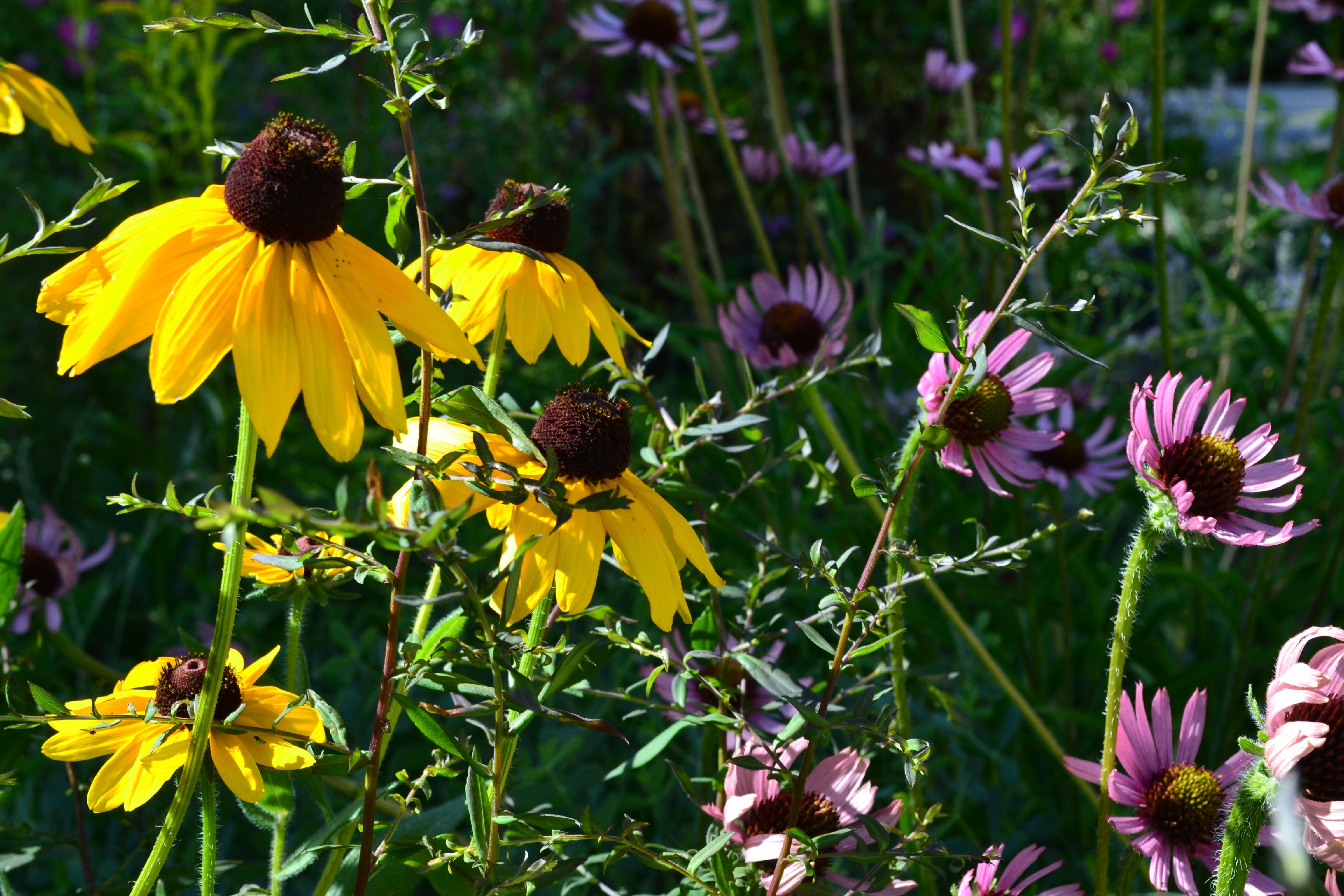 Search for Resources in Our Library