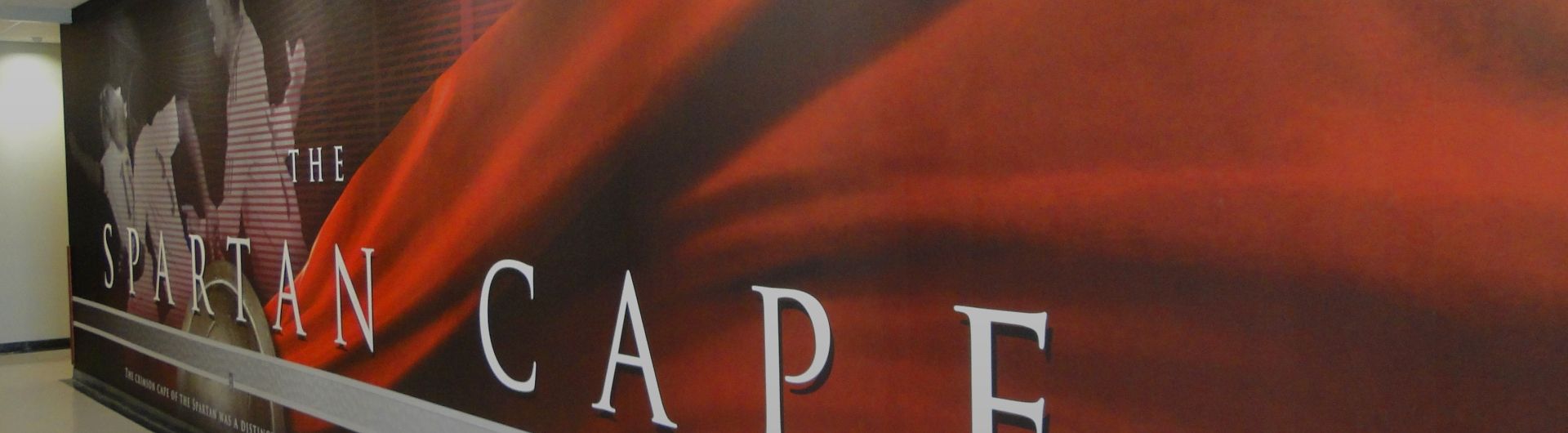 Wall Murals / Word Walls