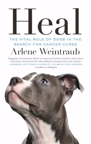 GUEST BLOG: Science is Starting to Embrace Pet Dogs In Cancer Research