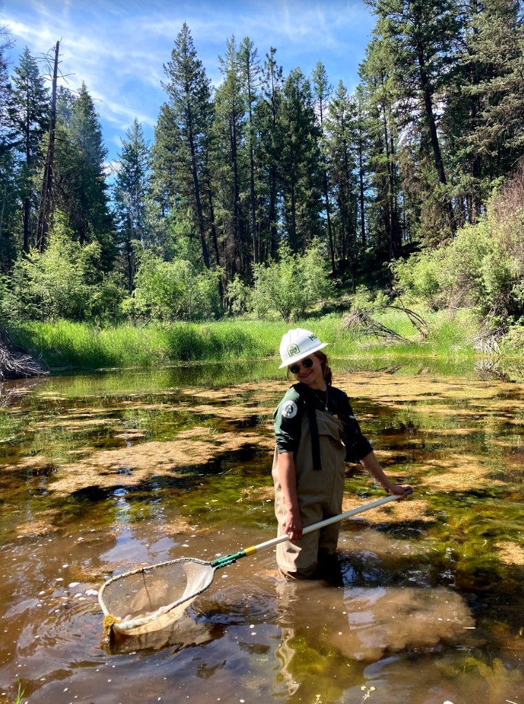 A female crew leader wades into a pond with a net to catch tadpoles.