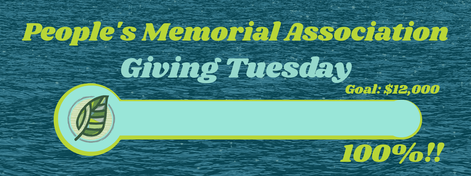 We are at 25% of our $12,000 goal.