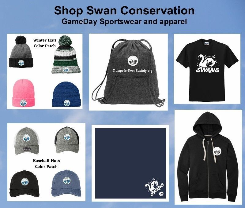 Shop the Swan Shop at GameDay Sportswear to help swan