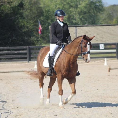 Lynn Chater and Toby (TN)