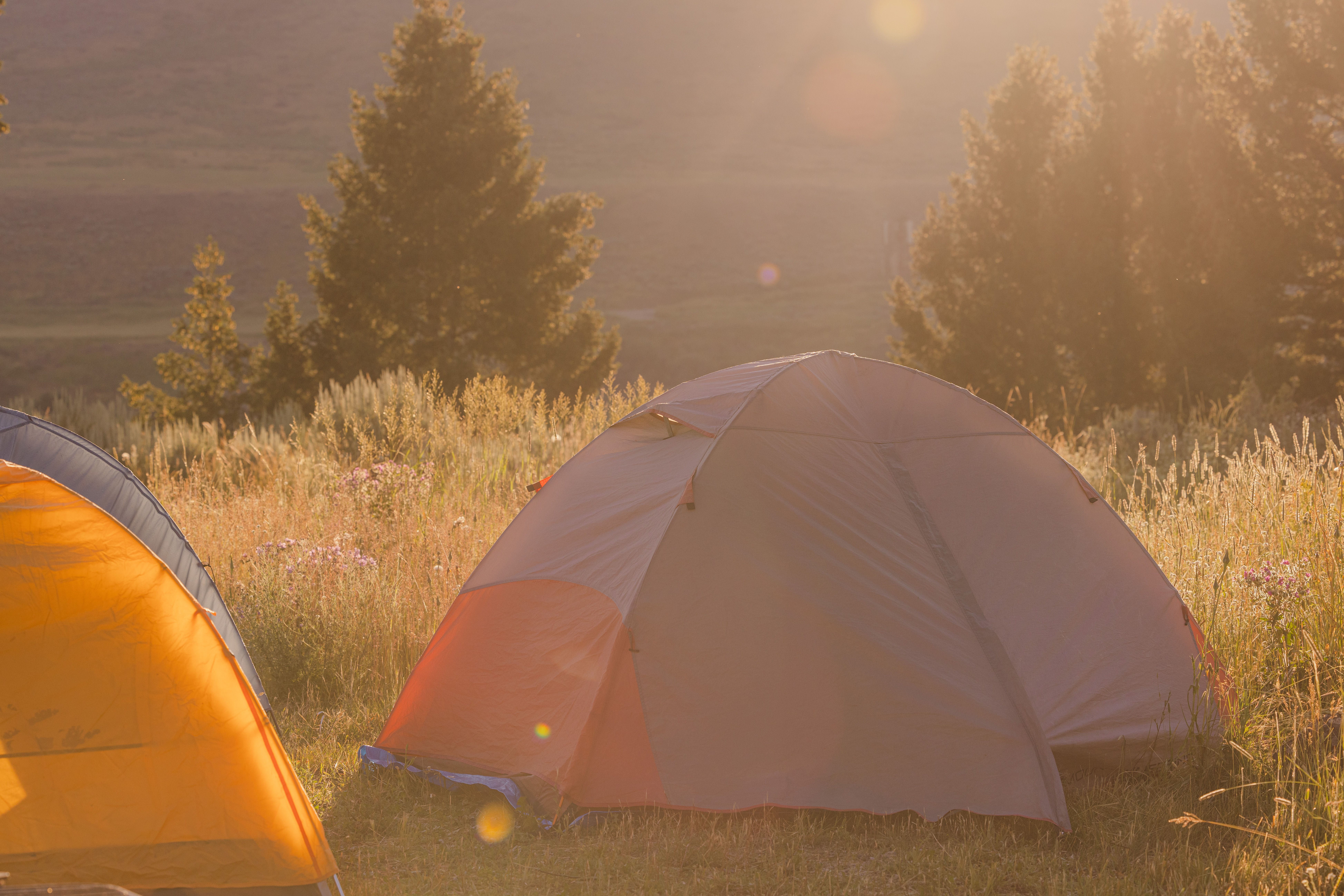 [Image Description: Two tents are illuminated by the sunrise in a field.]