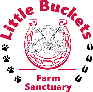 logo Little Buckets Farm Sanctuary