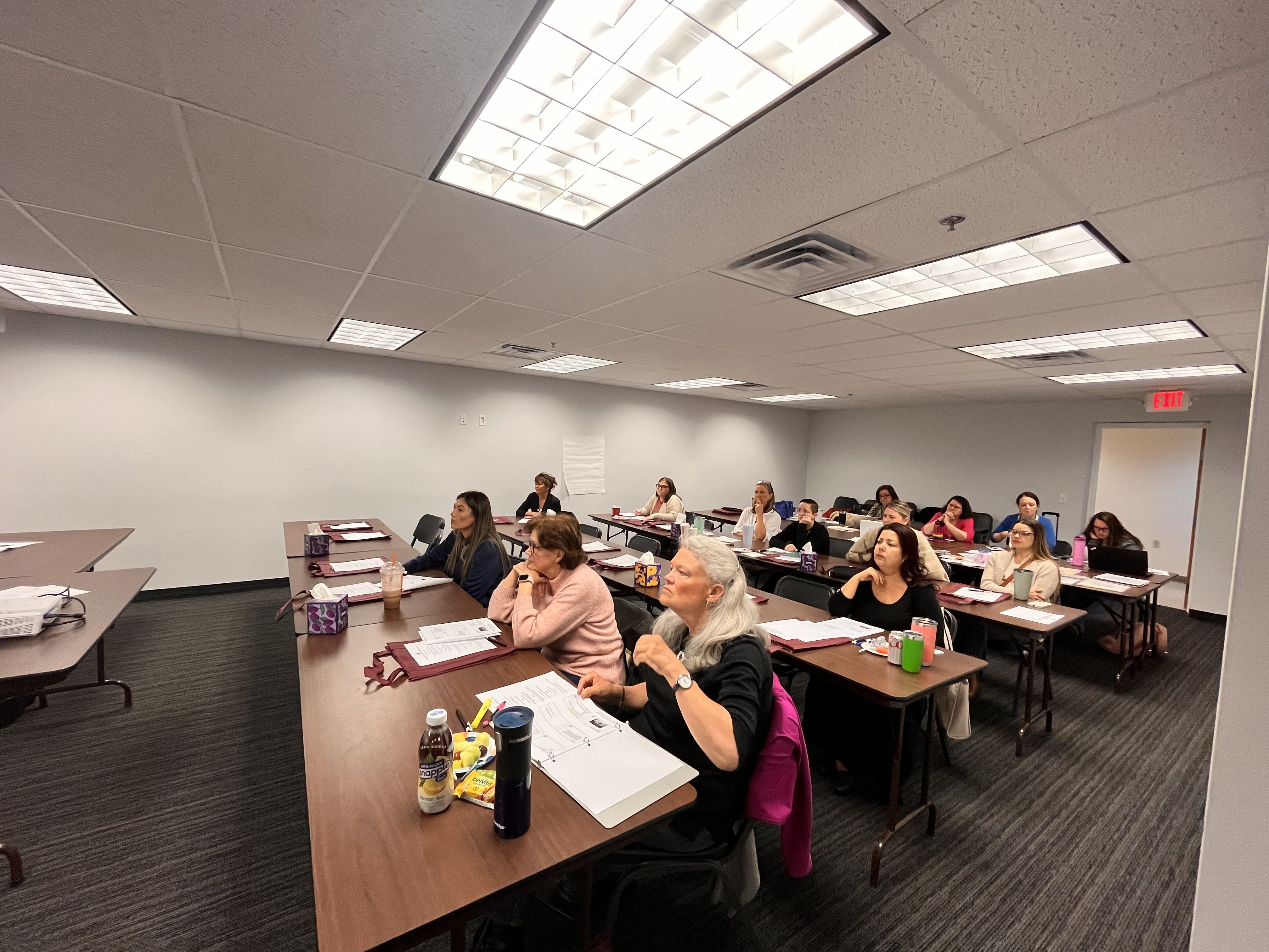 A Group of professionals attend an in-person training 