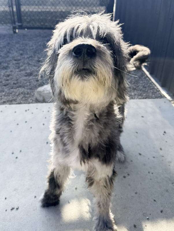 Jax