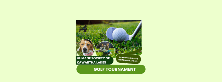 Golf 2025