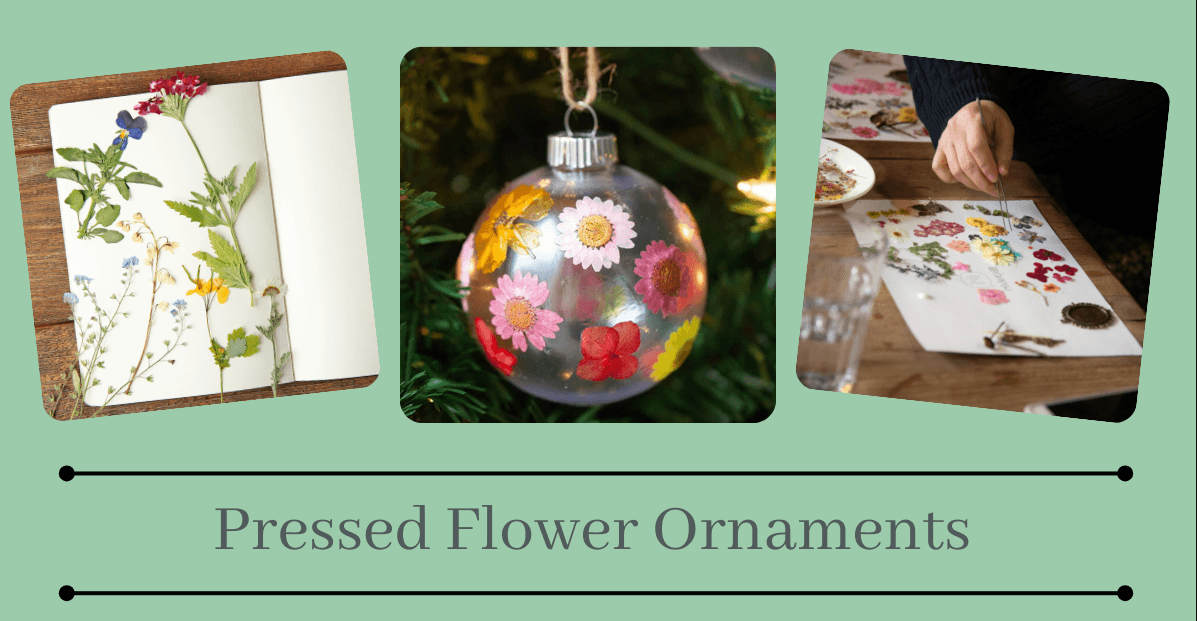 Pressed Flower Ornaments Class on December 6th from 12:00 to 2:00 (Taught by Stephanie, Classroom A and B, $39)