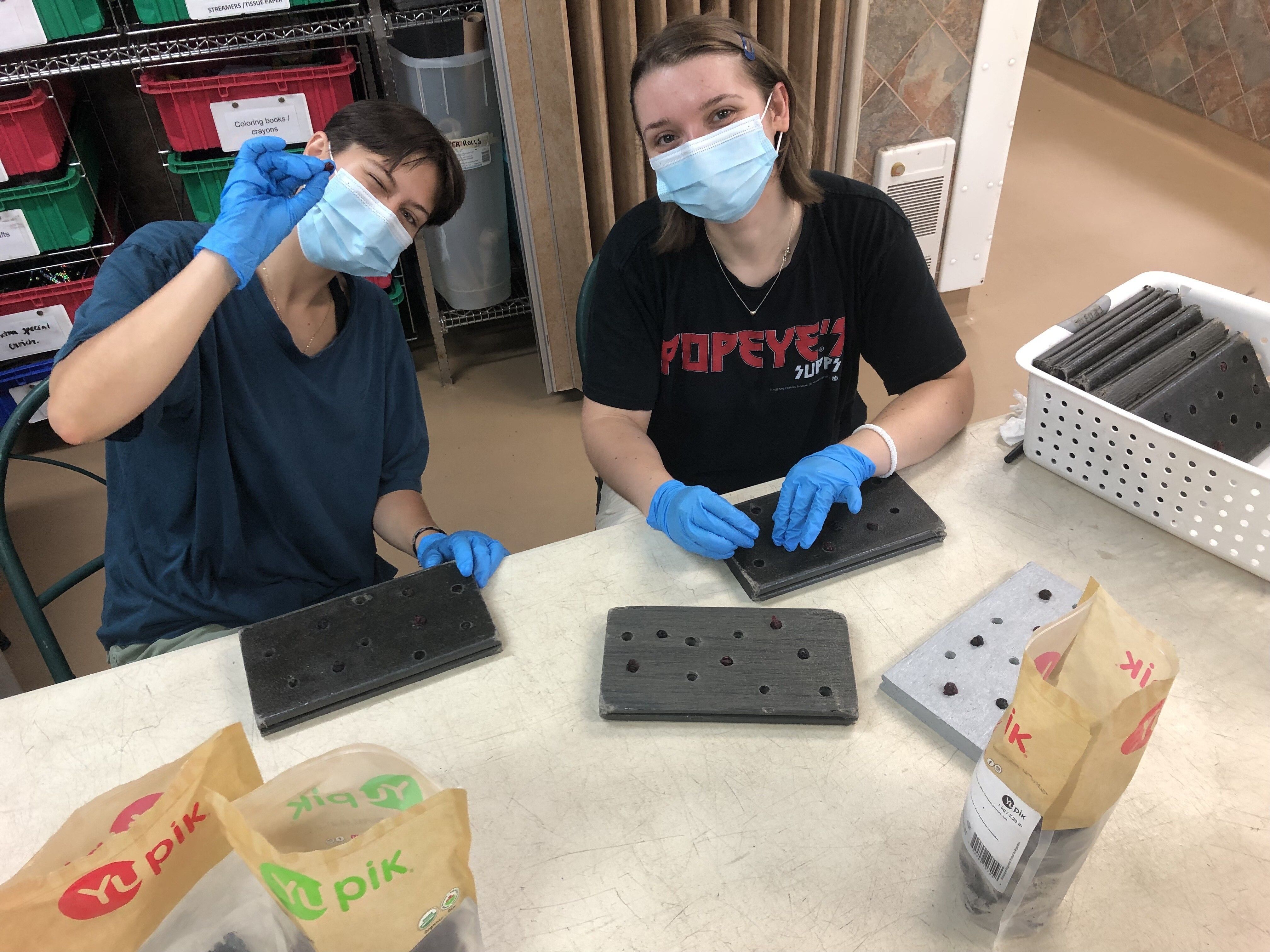 Our Summer at the Fauna Foundation