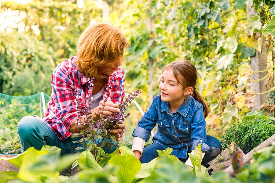 Older adult, female, crouching in the garden with her young granddaughter and showing her a plant