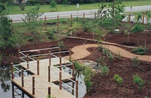 A Schoolyard Habitat