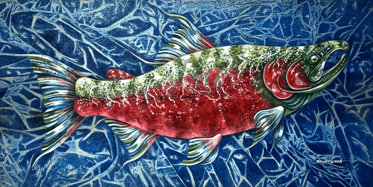 "Silver Salmon in Spawning Colors" - Sandy Wade