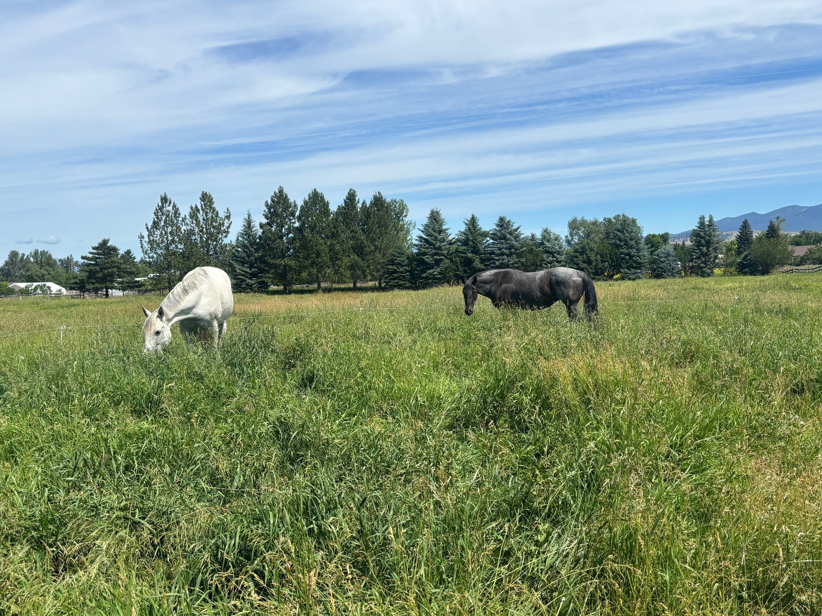 The Three Zones of Good Pasture Management