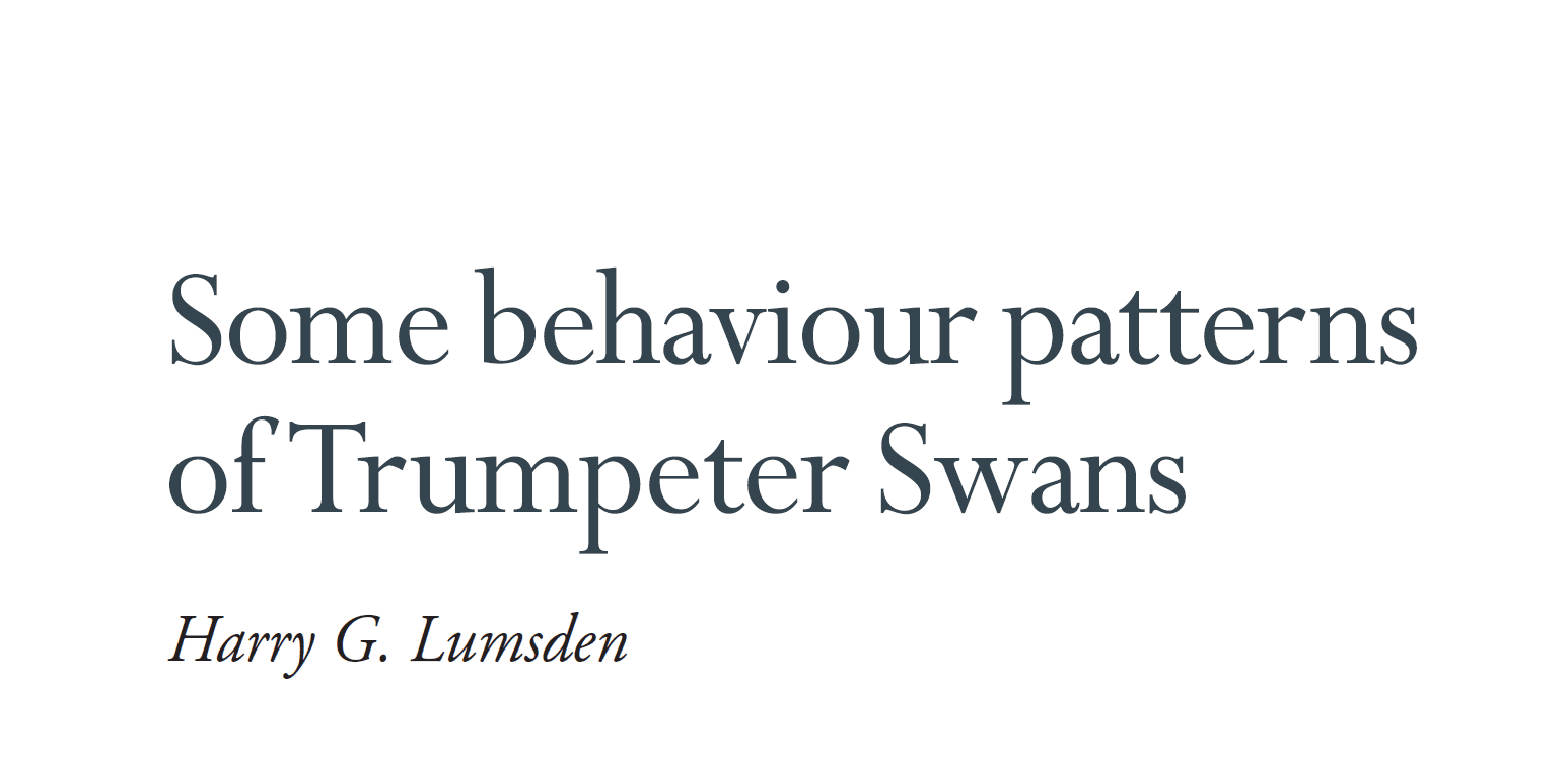 Some behavior patterns of Trumpeter Swans by Harry Lumsden