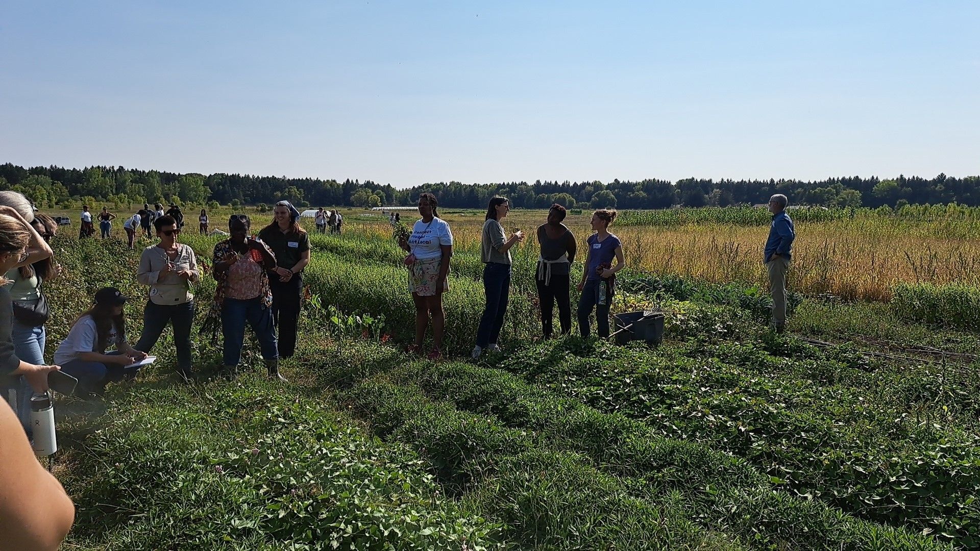 Multiple people standing amongst farm land