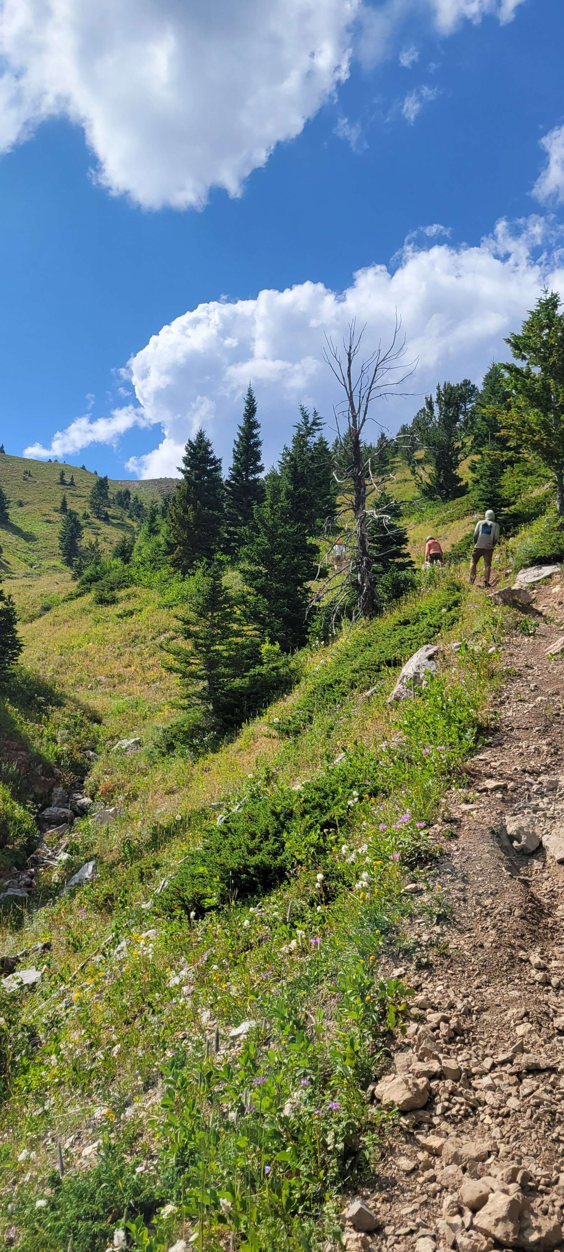 A view of a trail that winds into a mountain valley