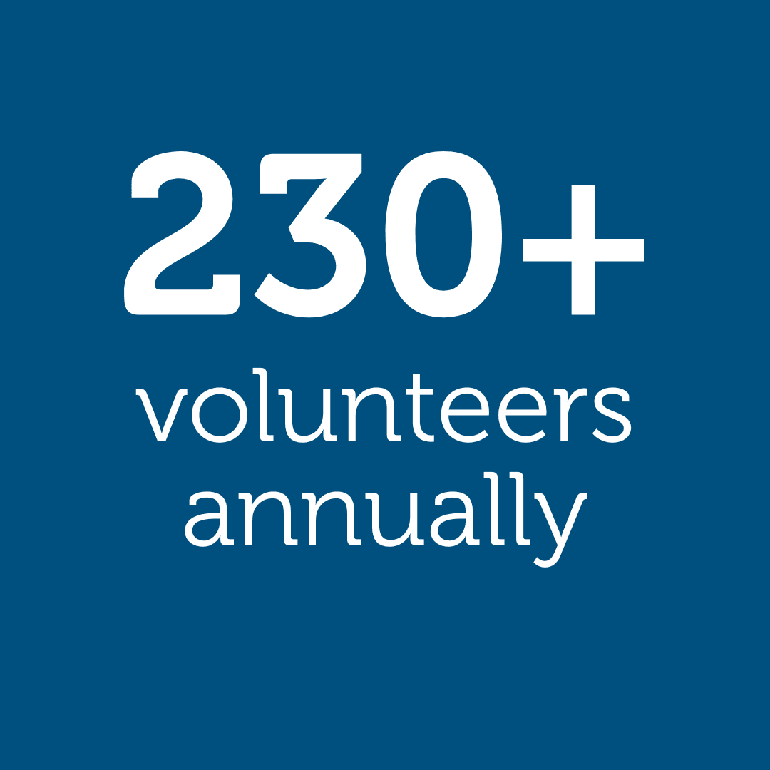 230 volunteers