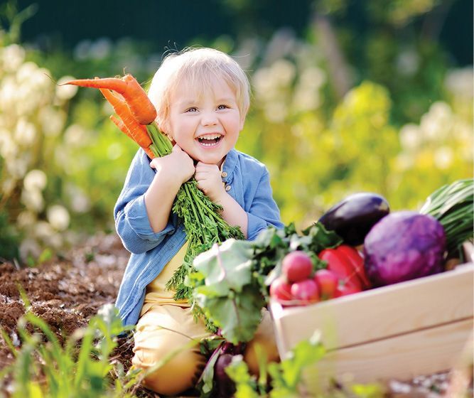 Harvest the Joy of Giving