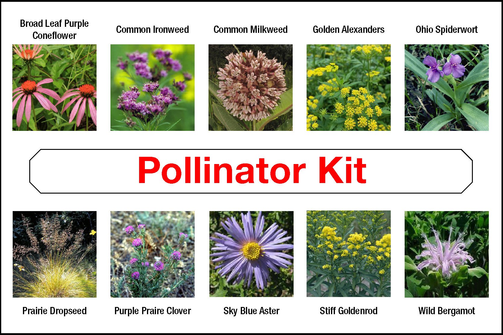 Pollinator Kit