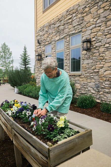 Elderly woman tending to her flower garden.