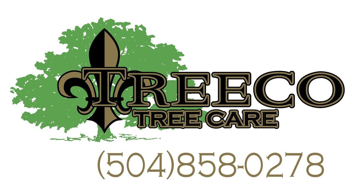 Understanding Daytime Raccoon Behavior